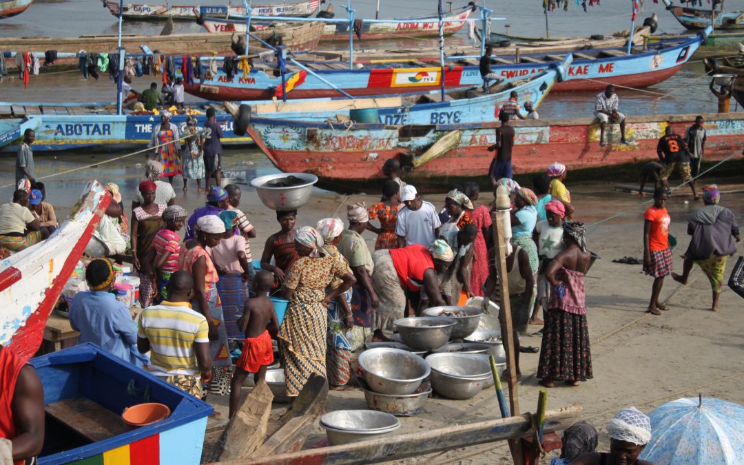 Small-Scale Fishermen and NGOs Call on the President of Ghana to End Saiko Fishing